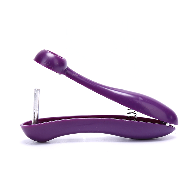 أداة يدوية محمولة لإزالة نوى ا - مراجعة Cherry Pitter Tool وسعره